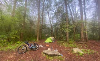 Robbie B.'s photo at Cassidy Bridge Hunt Camp near Tallulah Falls, GA