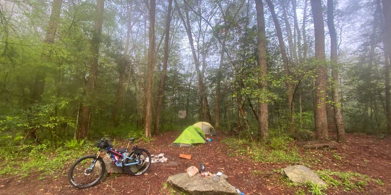 Camper submitted image from Cassidy Bridge Hunt Camp