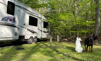 Camping near Breezy Point Beach  - TEMP CLOSED FOR 2023: Louise F. Cosca Regional Park, Clinton, Maryland