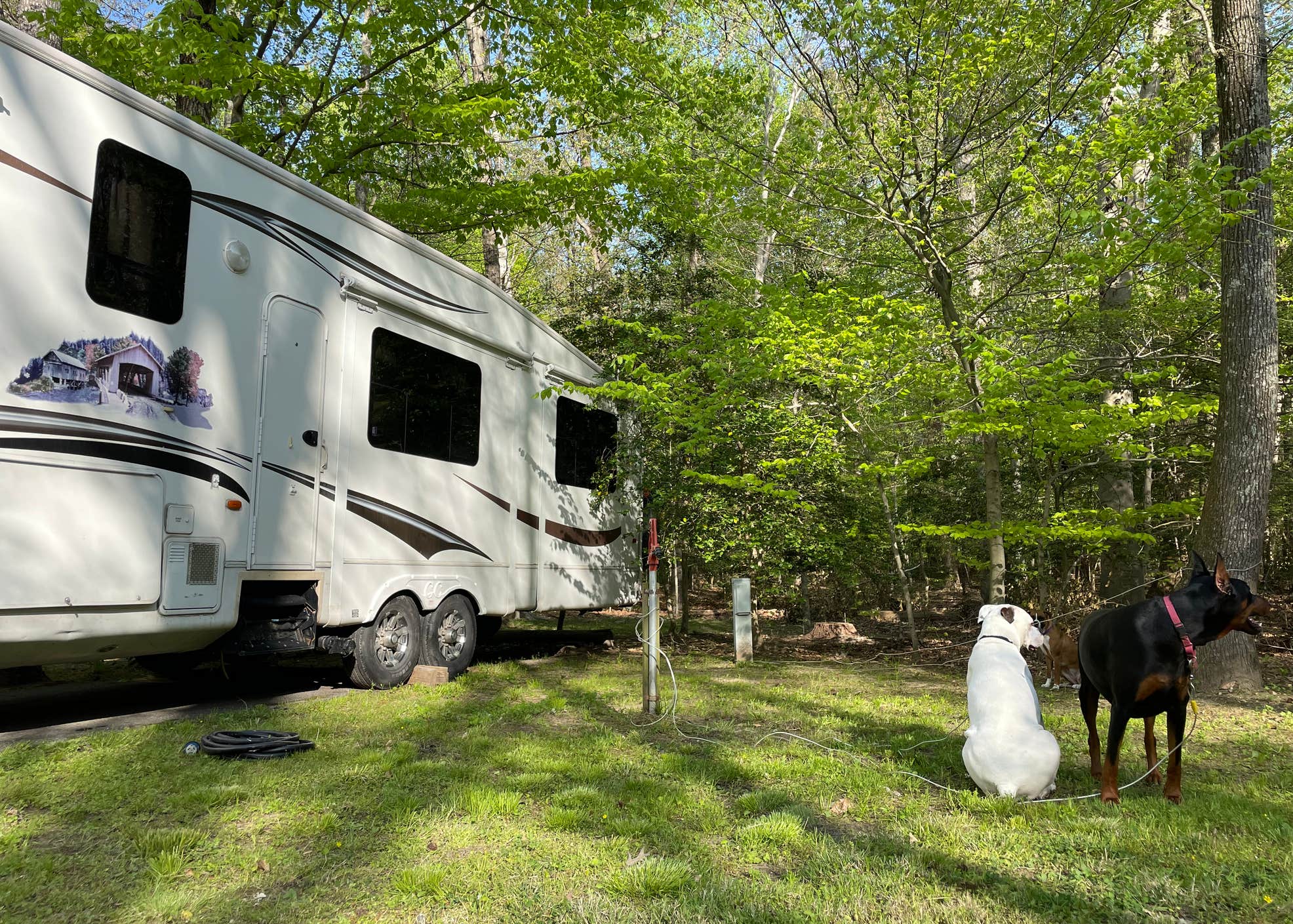 Louise F. Cosca Regional Park Camping The Dyrt