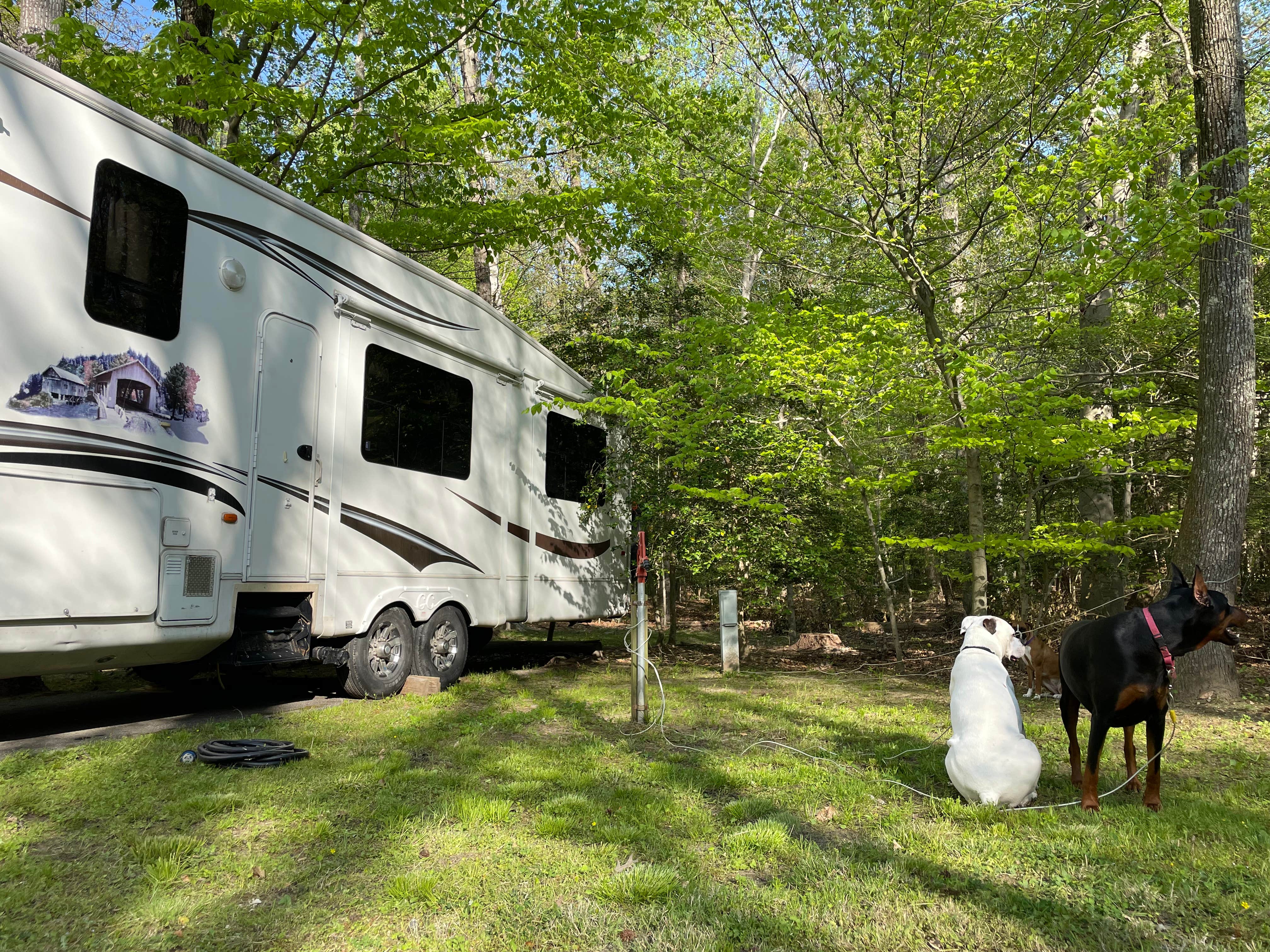 Camper submitted image from Louise F. Cosca Regional Park - 1