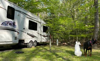 Caralee B.'s photo of camping with pets at Louise F. Cosca Regional Park near Broomes Island, MD