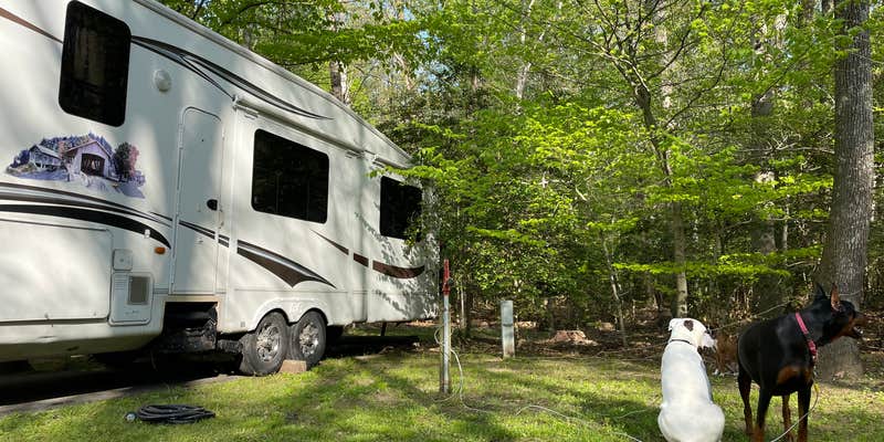 Camper submitted image from Louise F. Cosca Regional Park