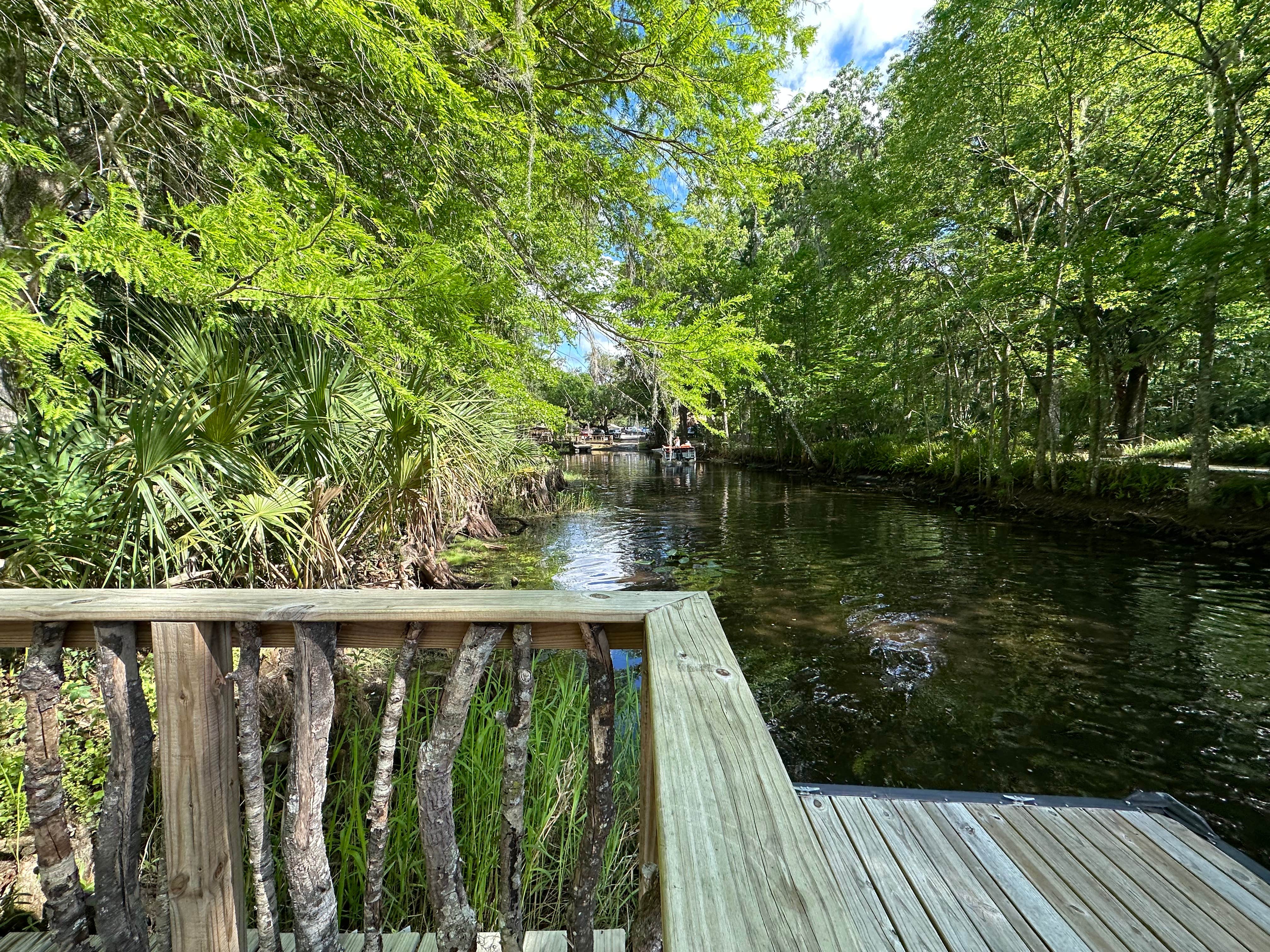 Camper-submitted photo at The Cove Pub Campground near Inverness, FL