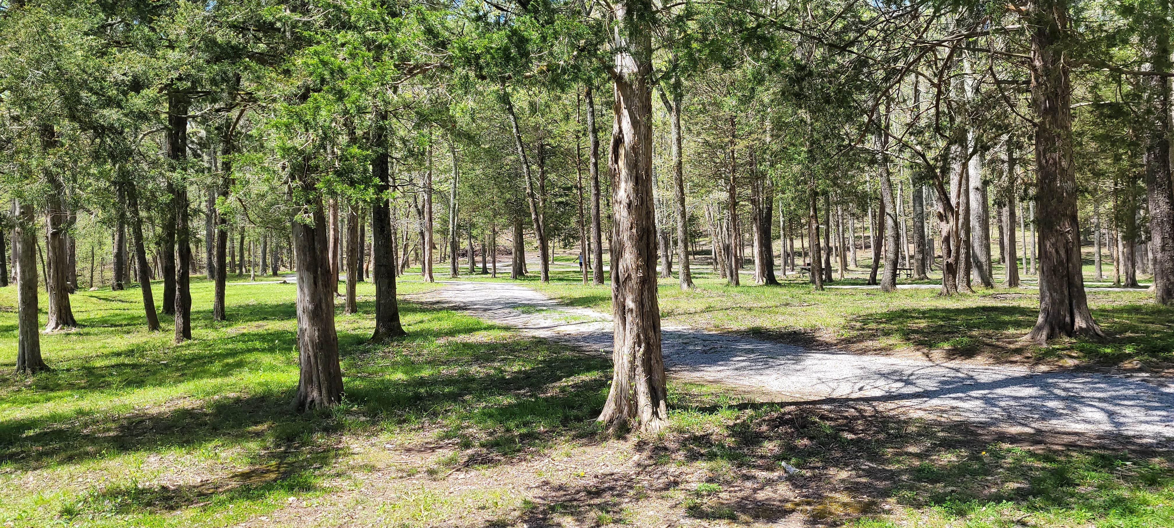 Camper-submitted photo at Pulaski County Park near Stanford, KY