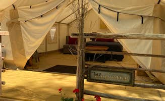 steve S.'s photo at Pap's Glamp on Lake Hartwell near Seneca, SC