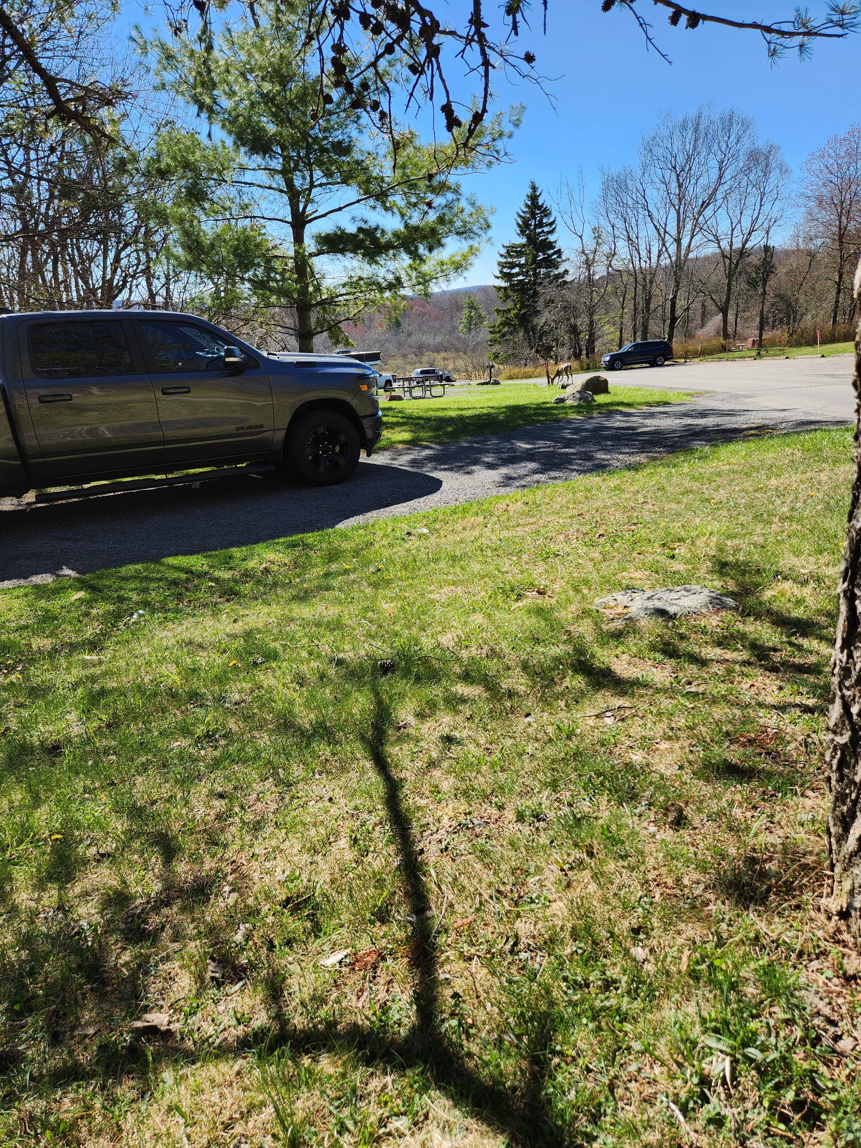 Keri P.'s photo of camping with pets at Big Meadows Campground — Shenandoah National Park near Rileyville, VA