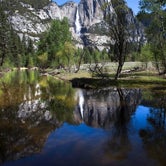 Review photo of Wawona Campground — Yosemite National Park by Amanda M., October 3, 2018