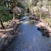 Review photo of Samuel P. Taylor State Park Campground by Neil T., April 16, 2023