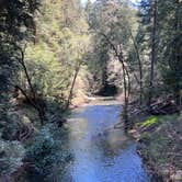 Review photo of Samuel P. Taylor State Park Campground by Neil T., April 16, 2023