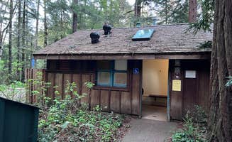 Neil T.'s photo of a cabin at Samuel P. Taylor State Park Campground near Tiburon, CA
