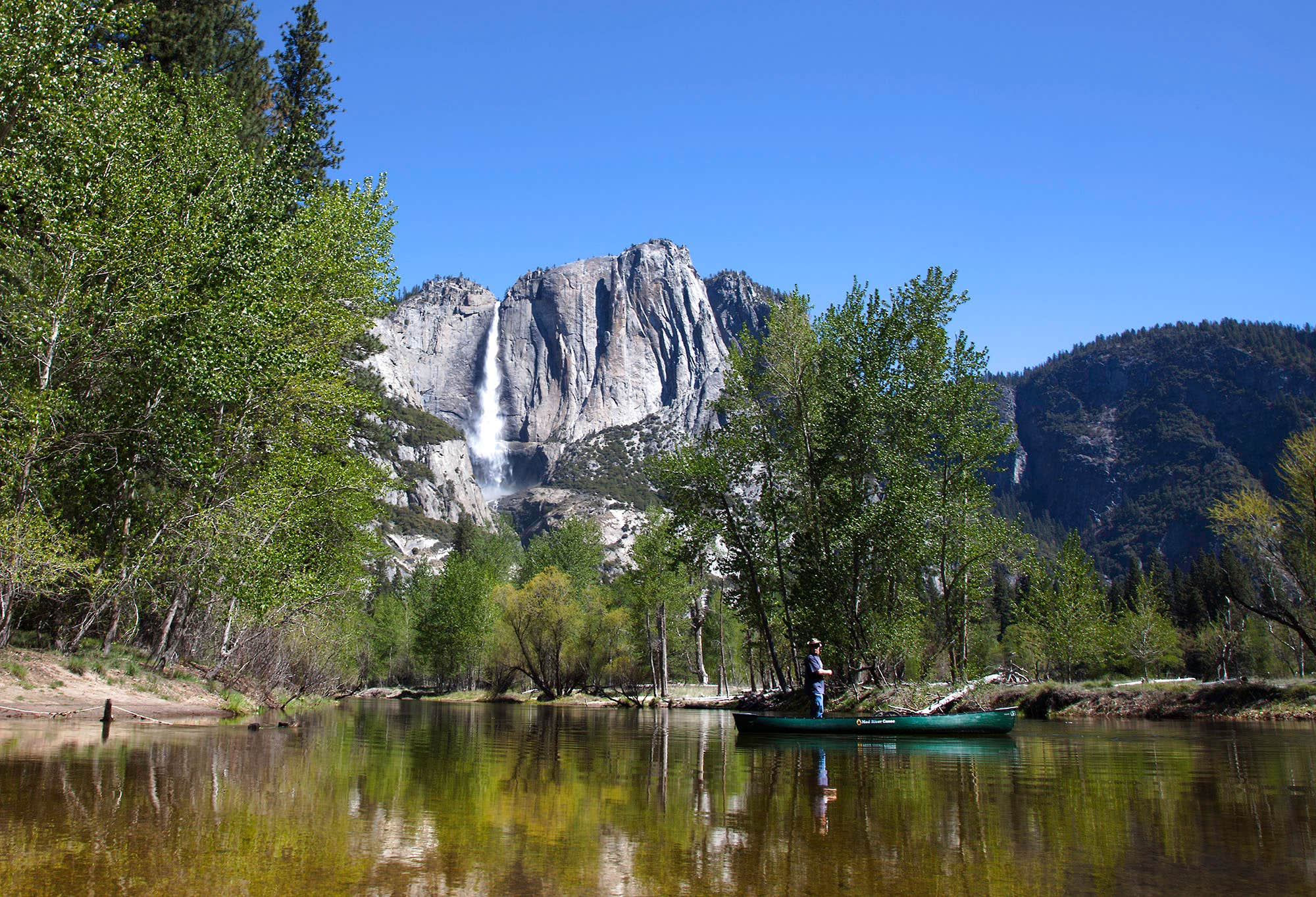 Camper submitted image from Wawona Campground — Yosemite National Park - 1