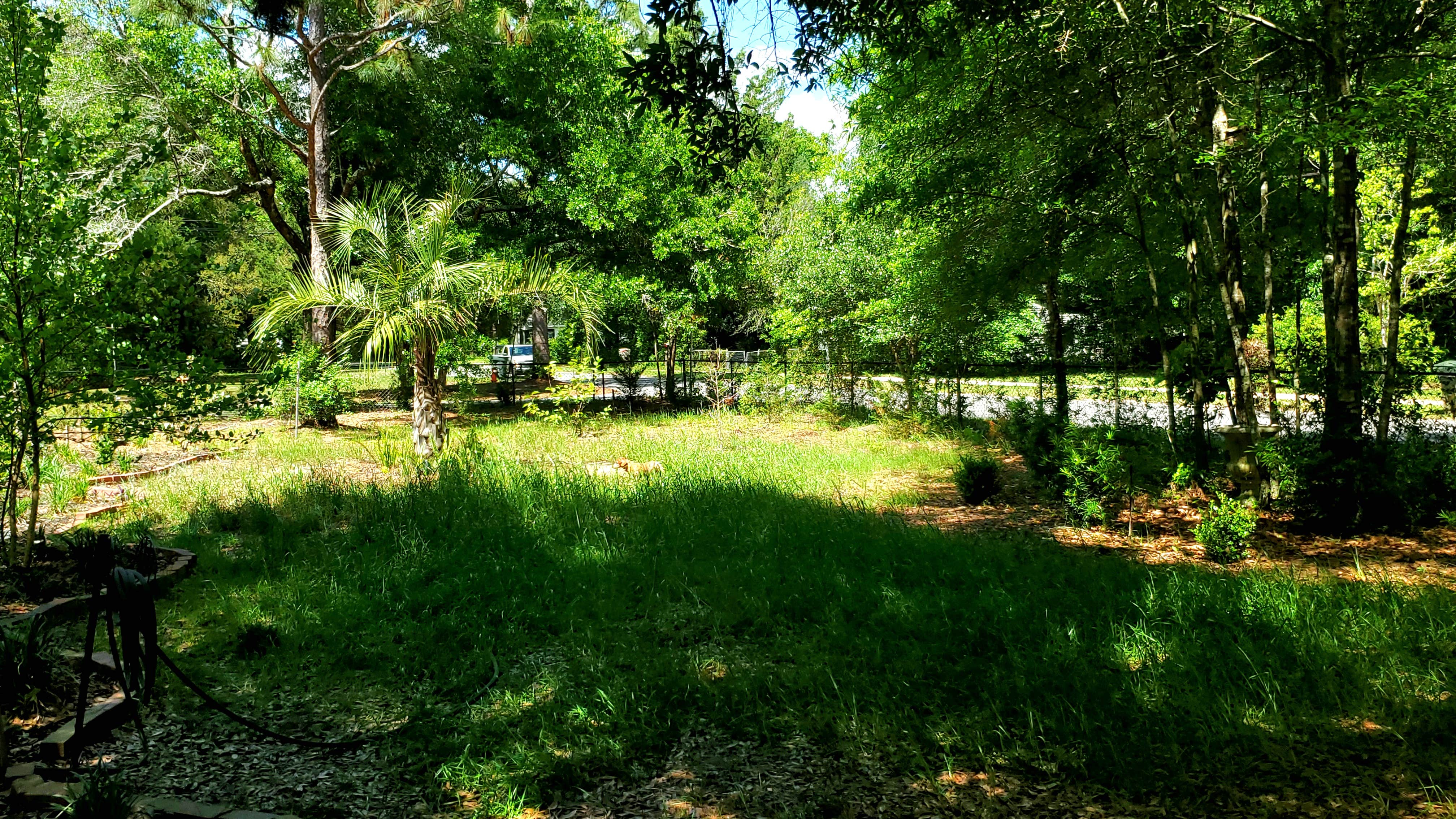 J B.'s photo of camping with pets at Zen Rustic Tiny Cabin - PERMANENTLY CLOSED near Lillian, AL