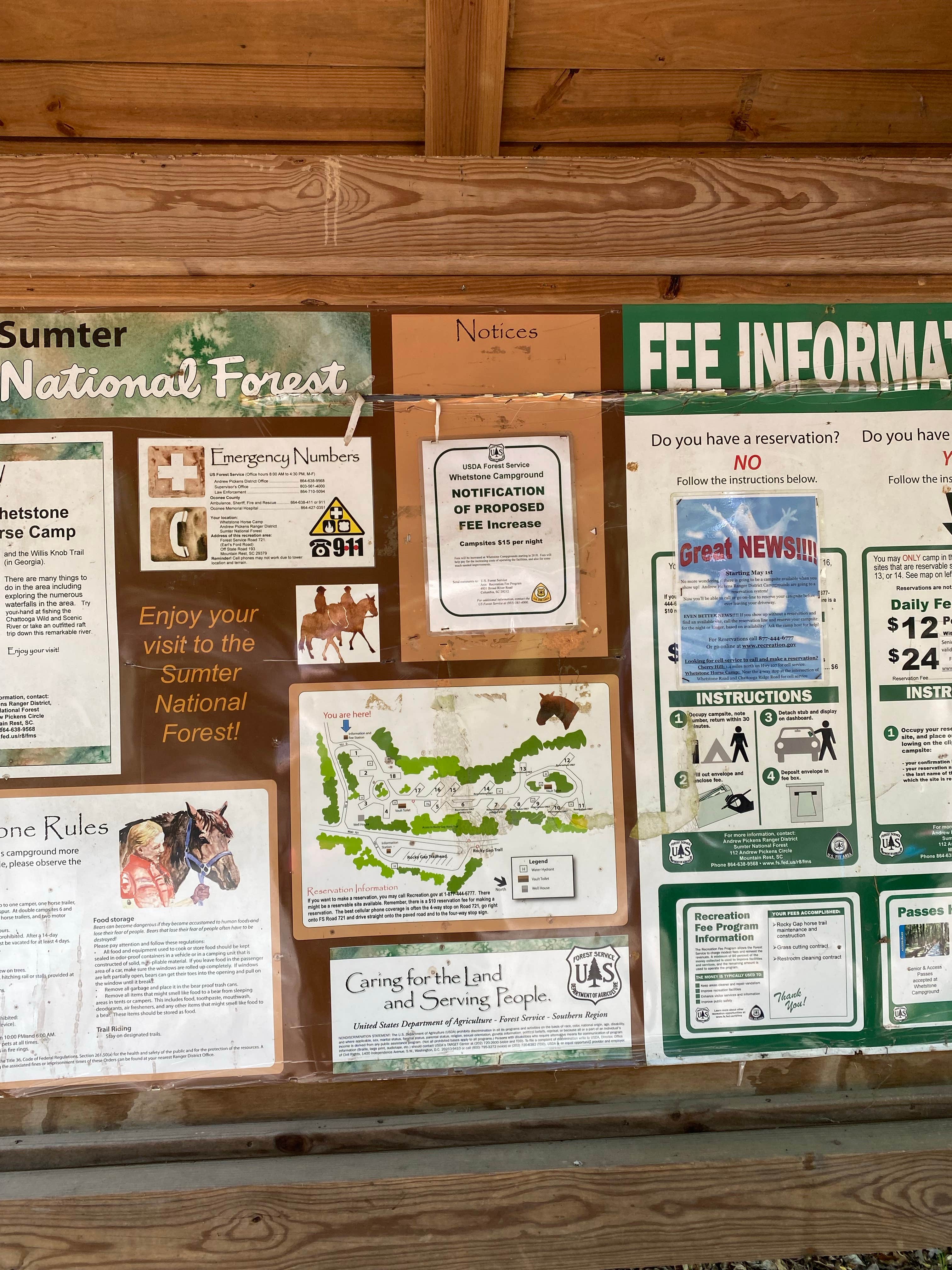 Camper submitted image from Whetstone Horse Camp - 3