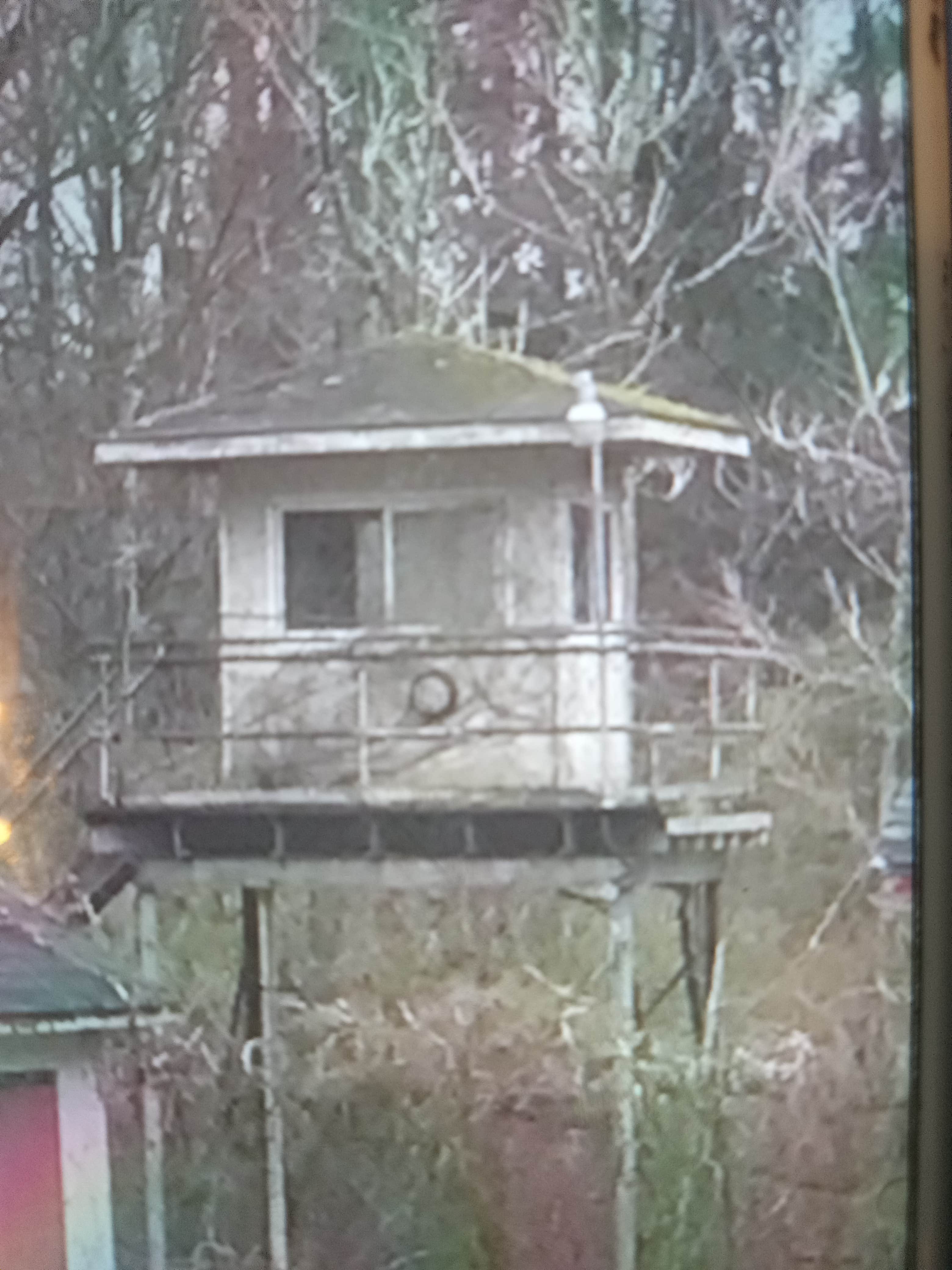 Camper-submitted photo at Freedom Hill Resort near La Crosse, VA