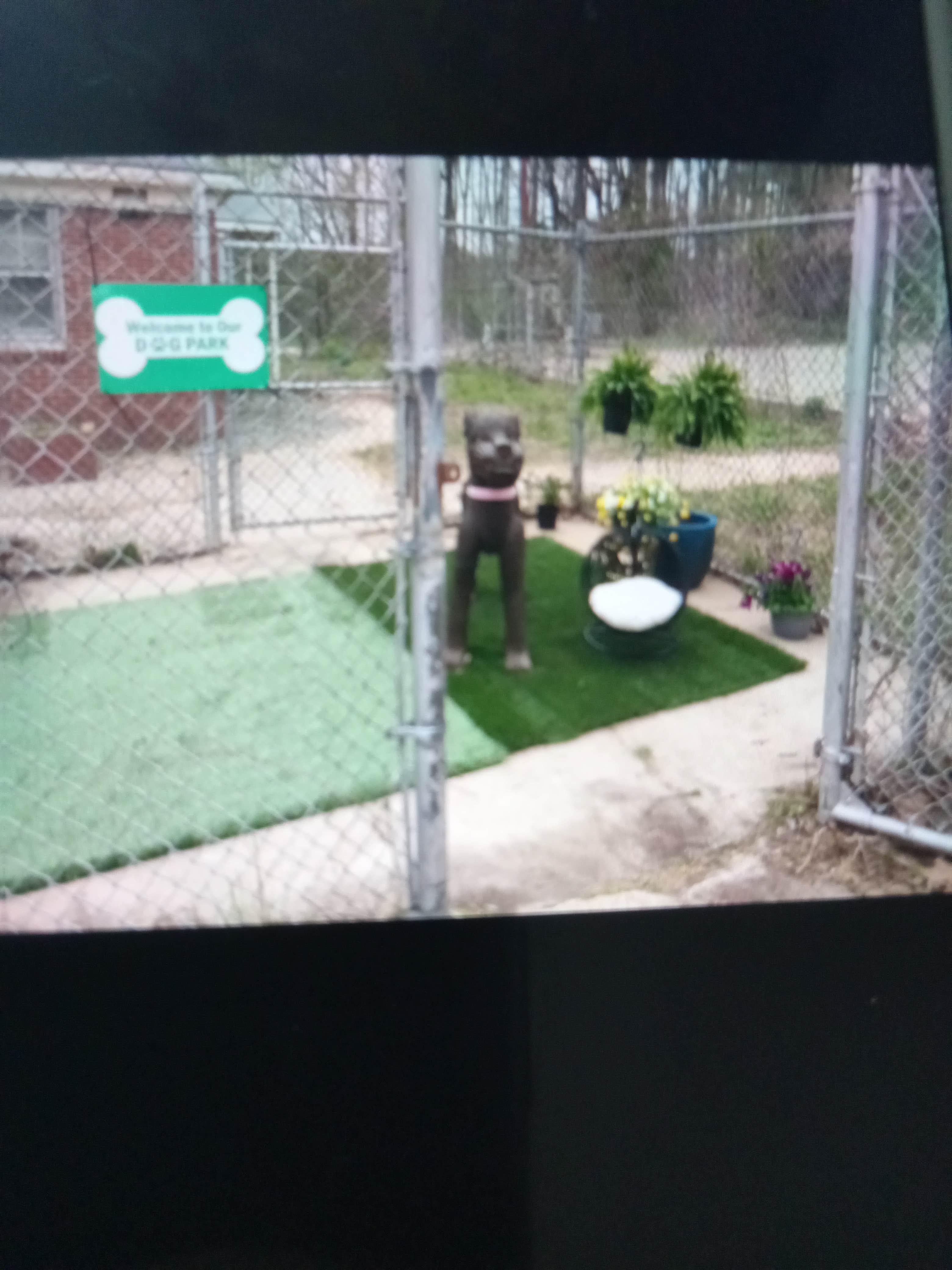 Camper-submitted photo at Freedom Hill Resort near La Crosse, VA