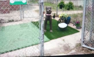 Michael B.'s photo of camping with pets at Freedom Hill Resort near Creedmoor, NC