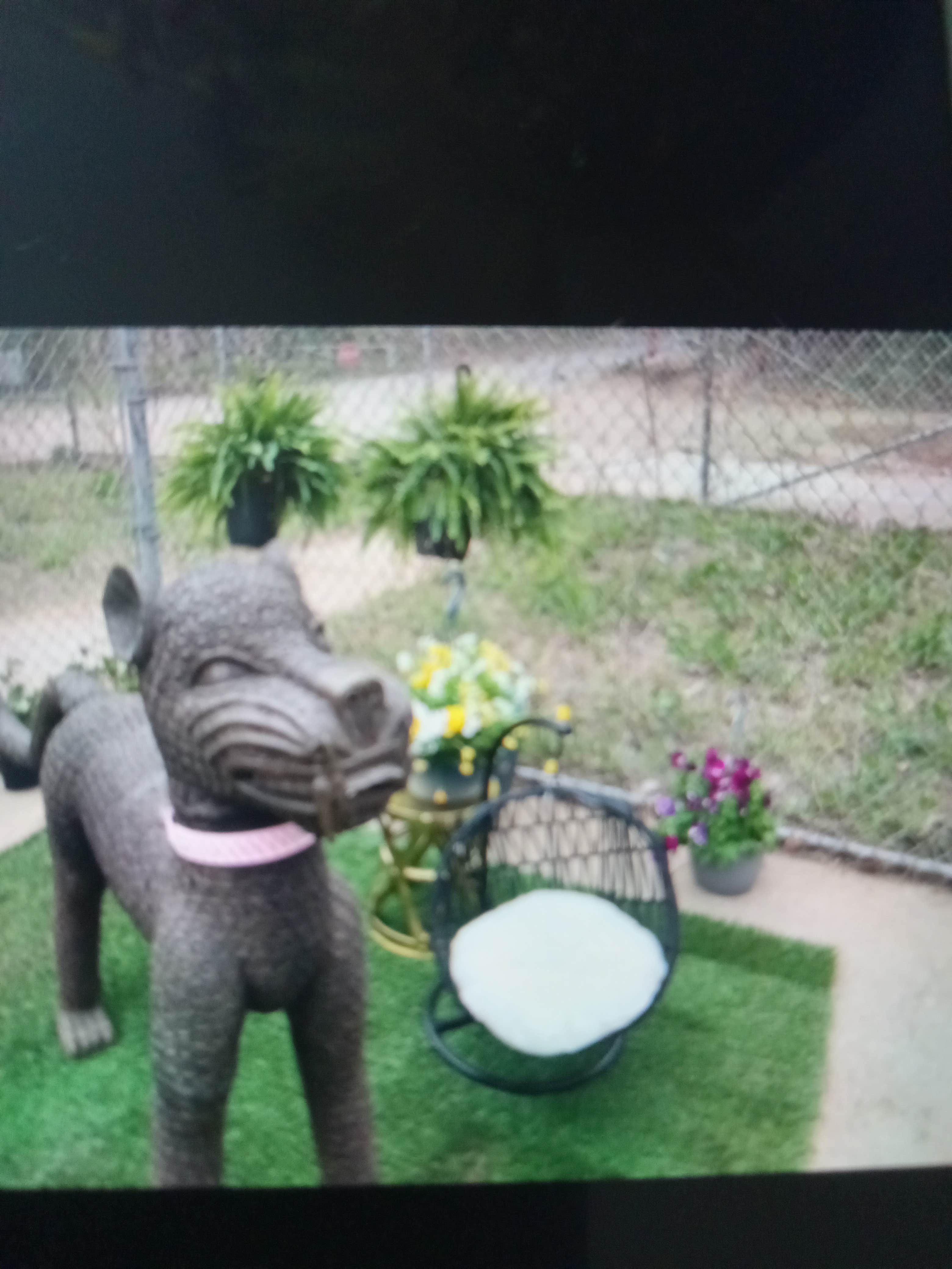 Camper-submitted photo at Freedom Hill Resort near La Crosse, VA