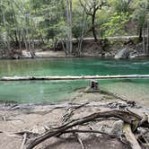 Review photo of Pfeiffer Big Sur State Park Campground by Tyler D., April 16, 2023