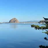 Review photo of Morro Bay State Park Campground by Tyler D., April 16, 2023