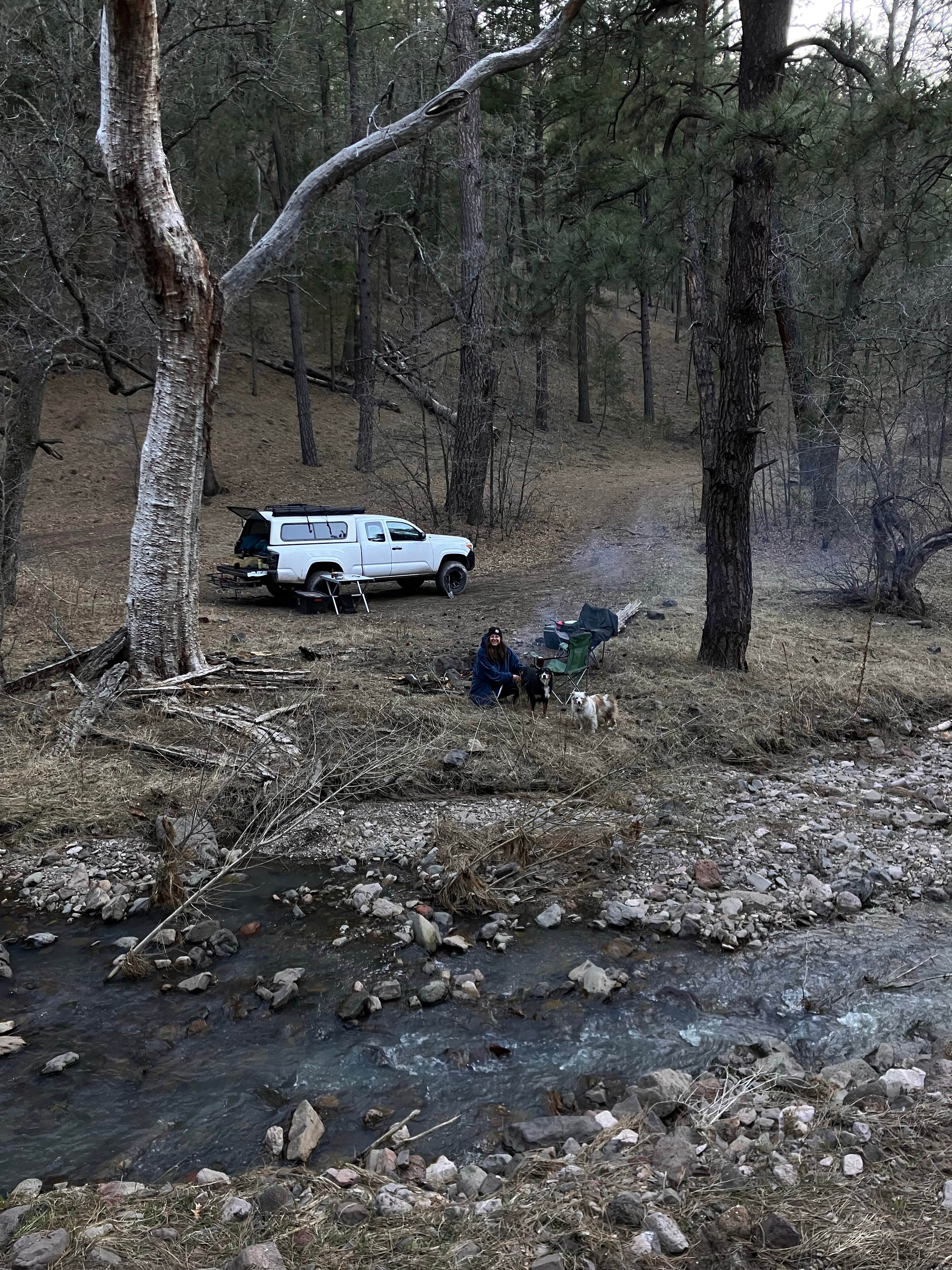 Camper submitted image from Meadow Creek Dispersed Camping - 5