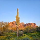 Review photo of Lost Dutchman State Park Campground by Jeff S., April 16, 2023