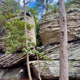 Review photo of Coopers Rock State Forest by Sienna L., April 16, 2023