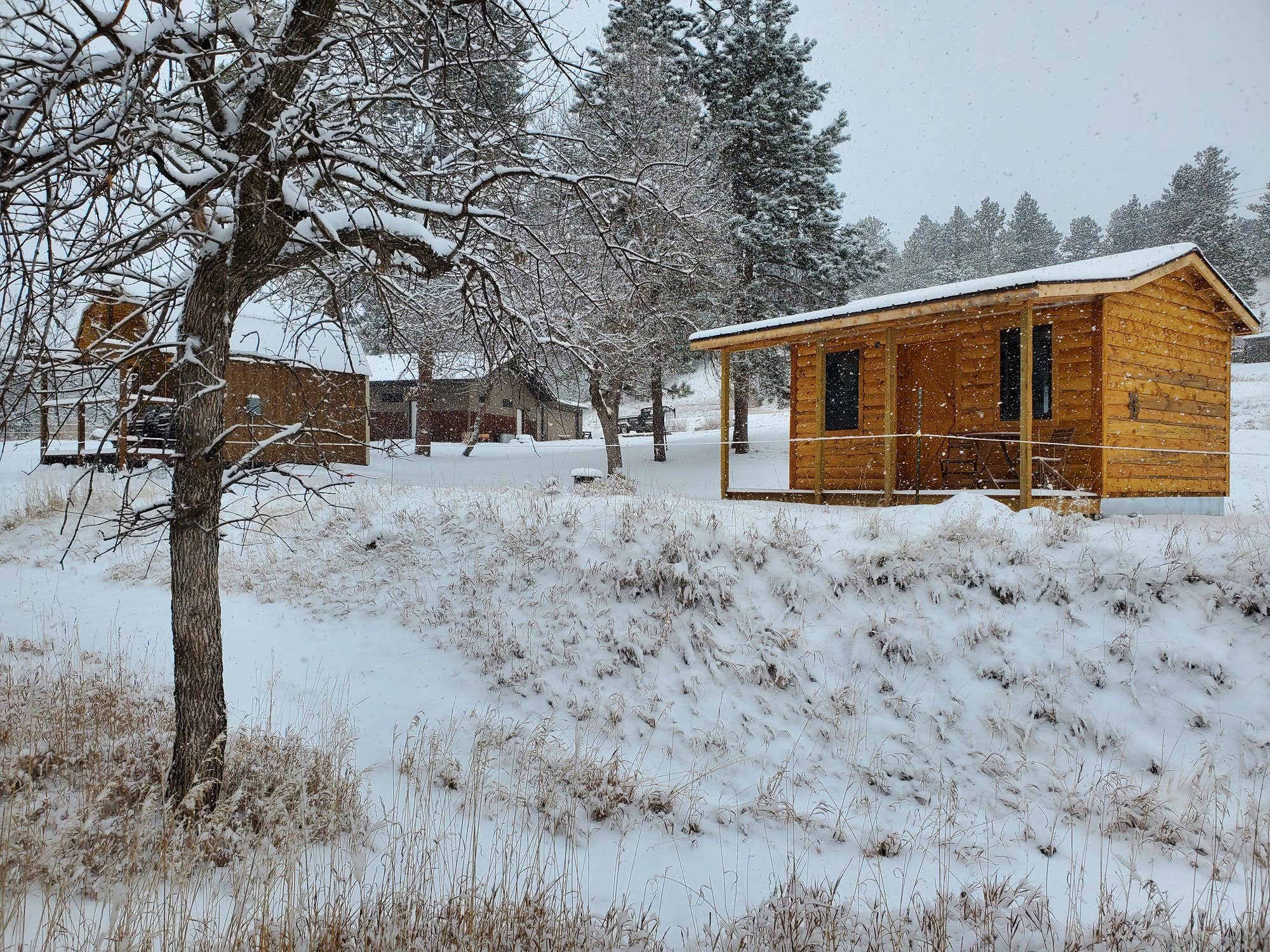 The Dyrt's photo of glamping accommodations at Bear Den Cabins and Camp near Rapid City, SD