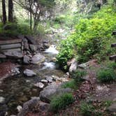 Review photo of Limekiln State Park Campground — TEMPORARILY CLOSED by Amanda M., October 3, 2018