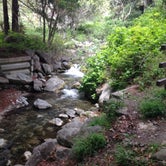 Review photo of Limekiln State Park - TEMPORARILY CLOSED by Amanda M., October 3, 2018