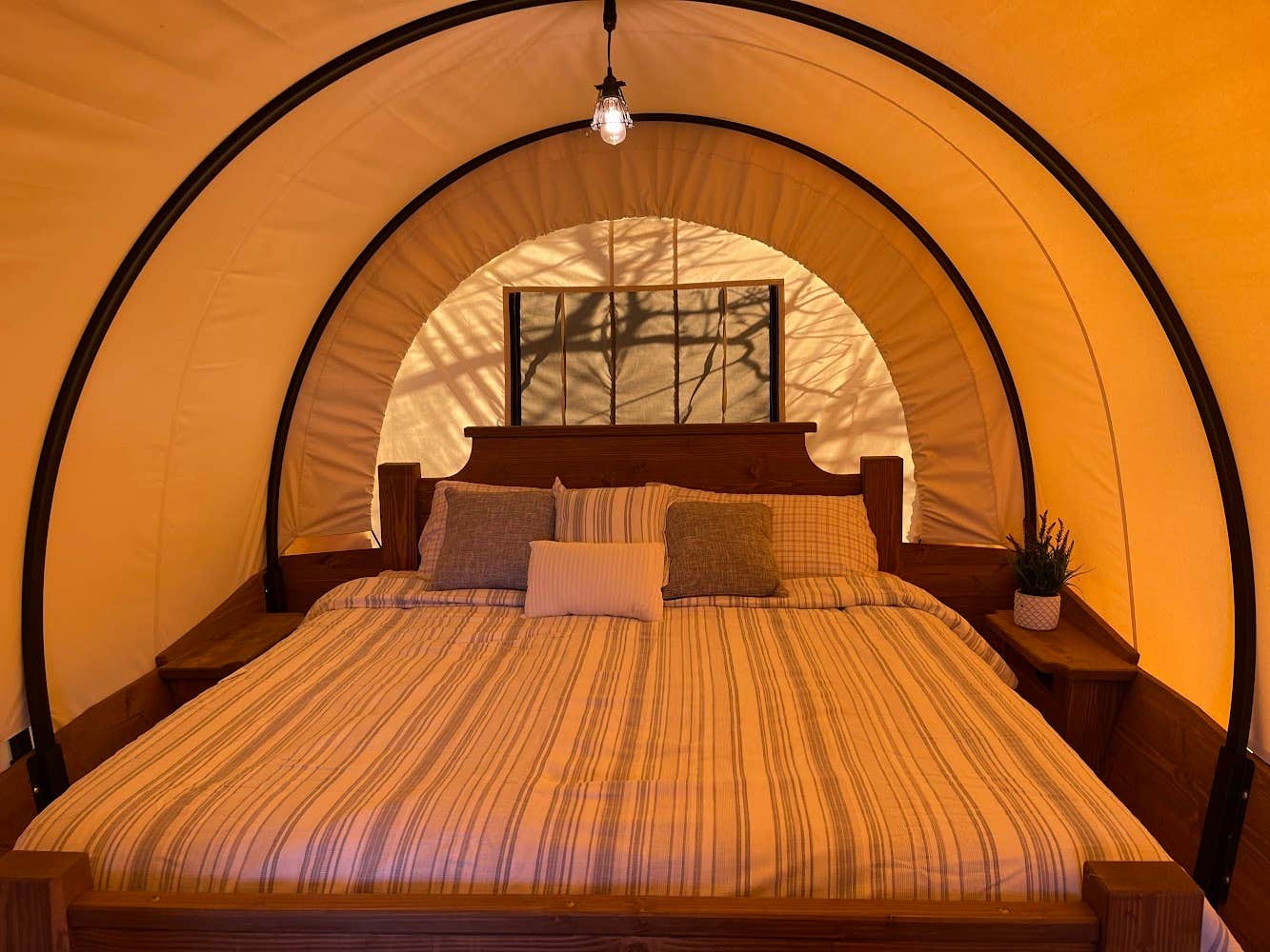 The Dyrt's photo of glamping accommodations at Cross Timbers Glamping Company near Glen Rose, TX