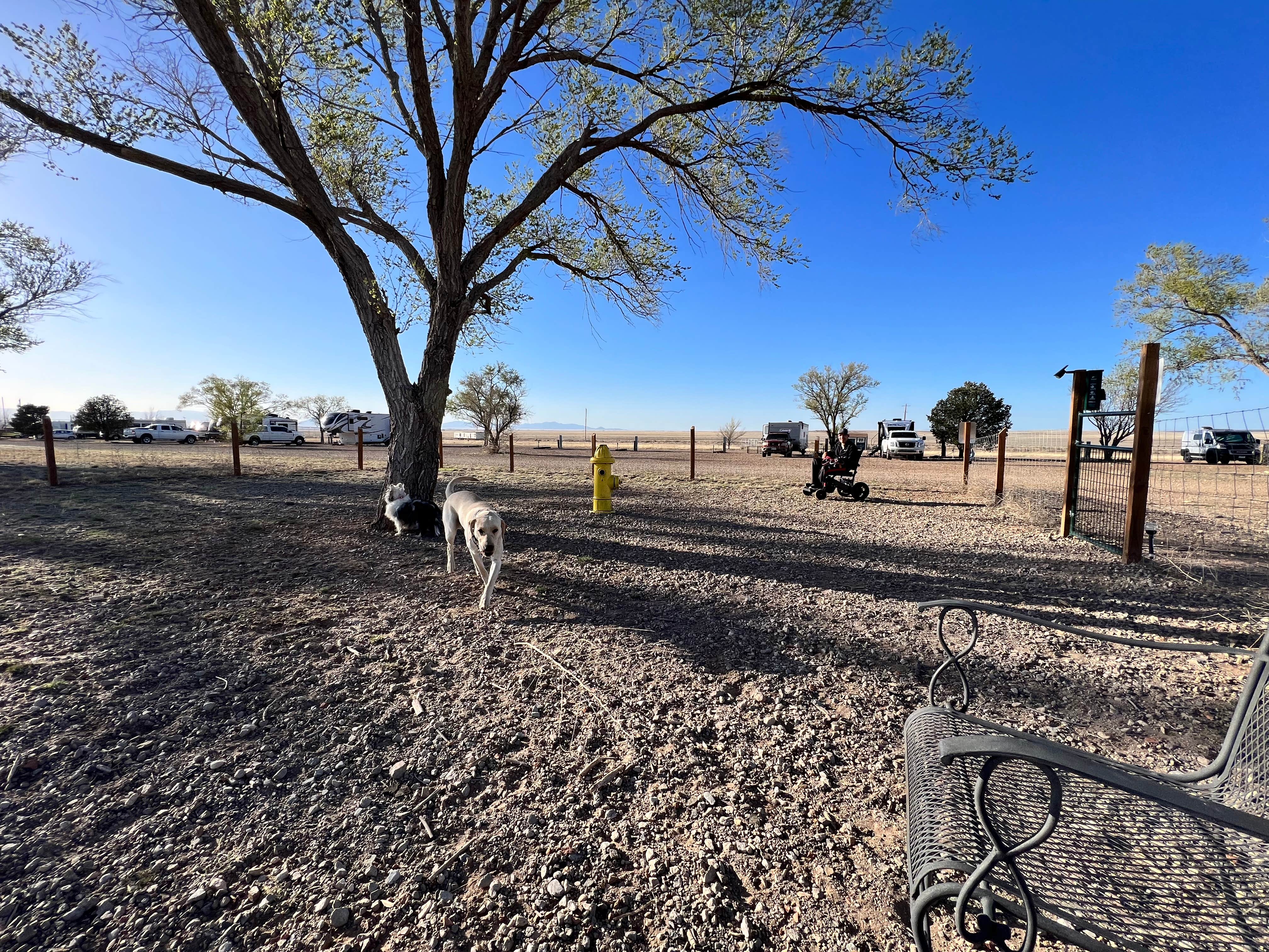 Maggie  C.'s photo of camping with pets at Zia RV Park near Ribera, NM