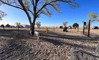 Maggie  C.'s photo of camping with pets at Zia RV Park near Tijeras, NM