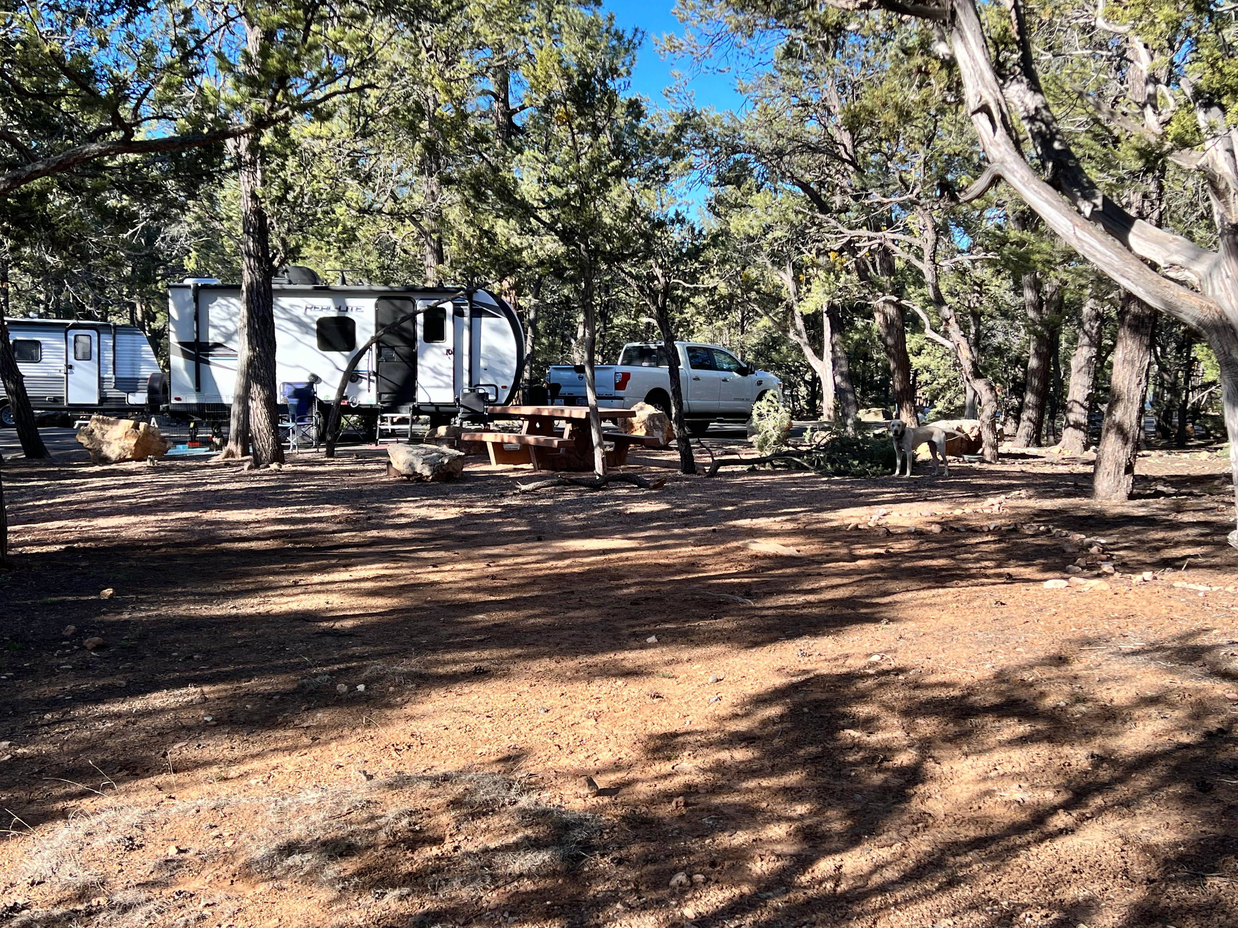 Maggie  C.'s photo of camping with pets at Mather Campground — Grand Canyon National Park near Grand Canyon, AZ