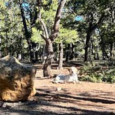 Review photo of Mather Campground — Grand Canyon National Park by Maggie  C., April 17, 2023