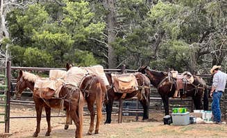 Maggie C.'s photo of camping with a horse at Mather Campground — Grand Canyon National Park near Gray Mountain, AZ