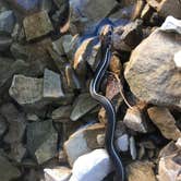 Review photo of Cachuma Lake Recreation Area by Amanda M., October 3, 2018