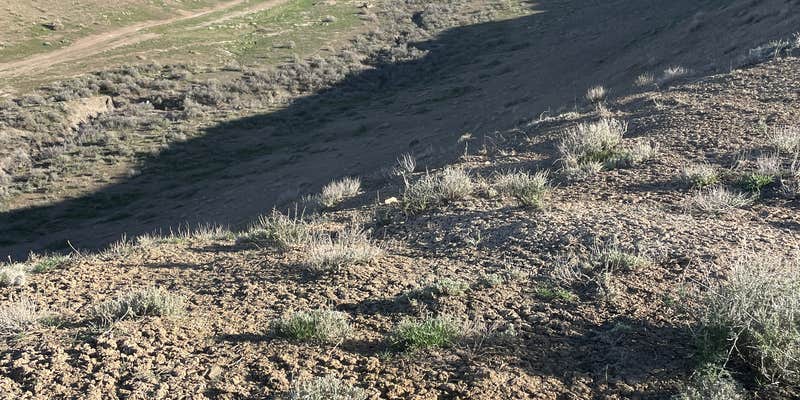 Camper submitted image from Willis Co