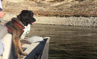 Amanda M.'s photo of camping with pets at Cachuma Lake Recreation Area near Carrizo Plain National Monument
