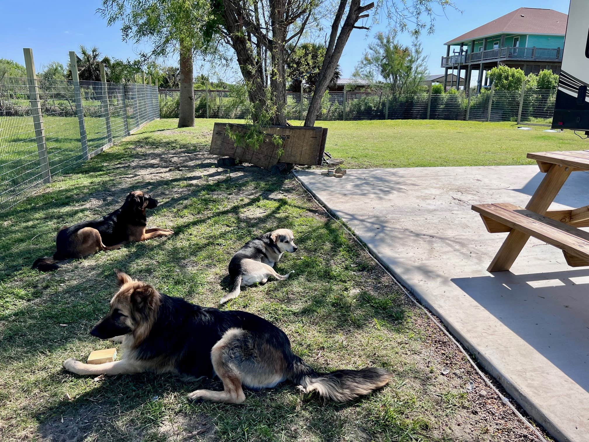 Cyndie H.'s photo of camping with pets at Beach RV Camp Site- Pelican Perch near Anahuac, TX