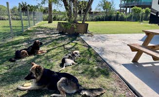 Cyndie H.'s photo of camping with pets at Beach RV Camp Site- Pelican Perch near Sabine Pass, TX
