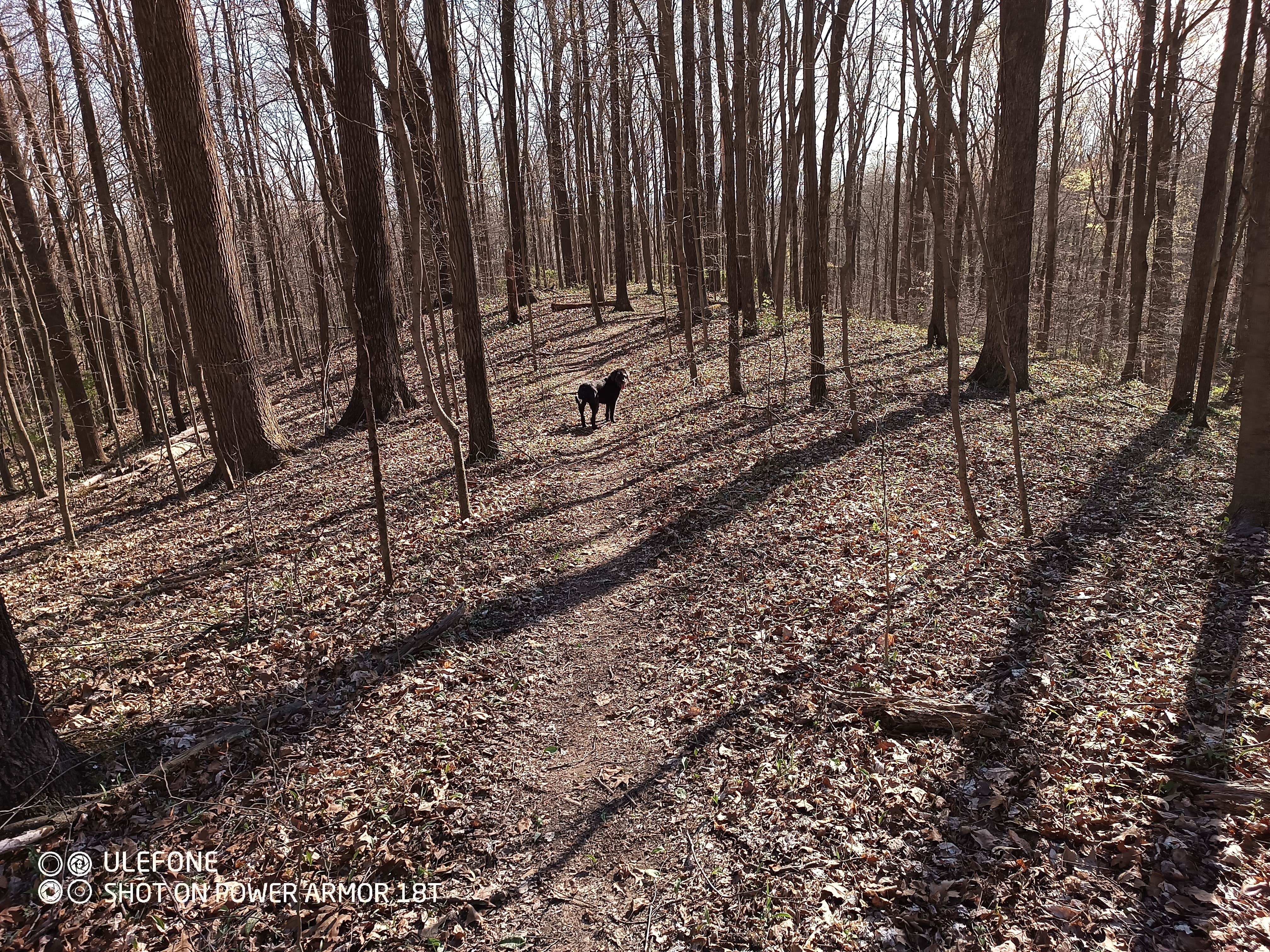 John B.'s photo of camping with pets at East Fork State Park Campground near Sabina, OH