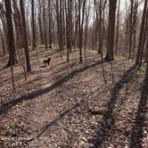 Review photo of East Fork State Park Campground by John B., April 17, 2023