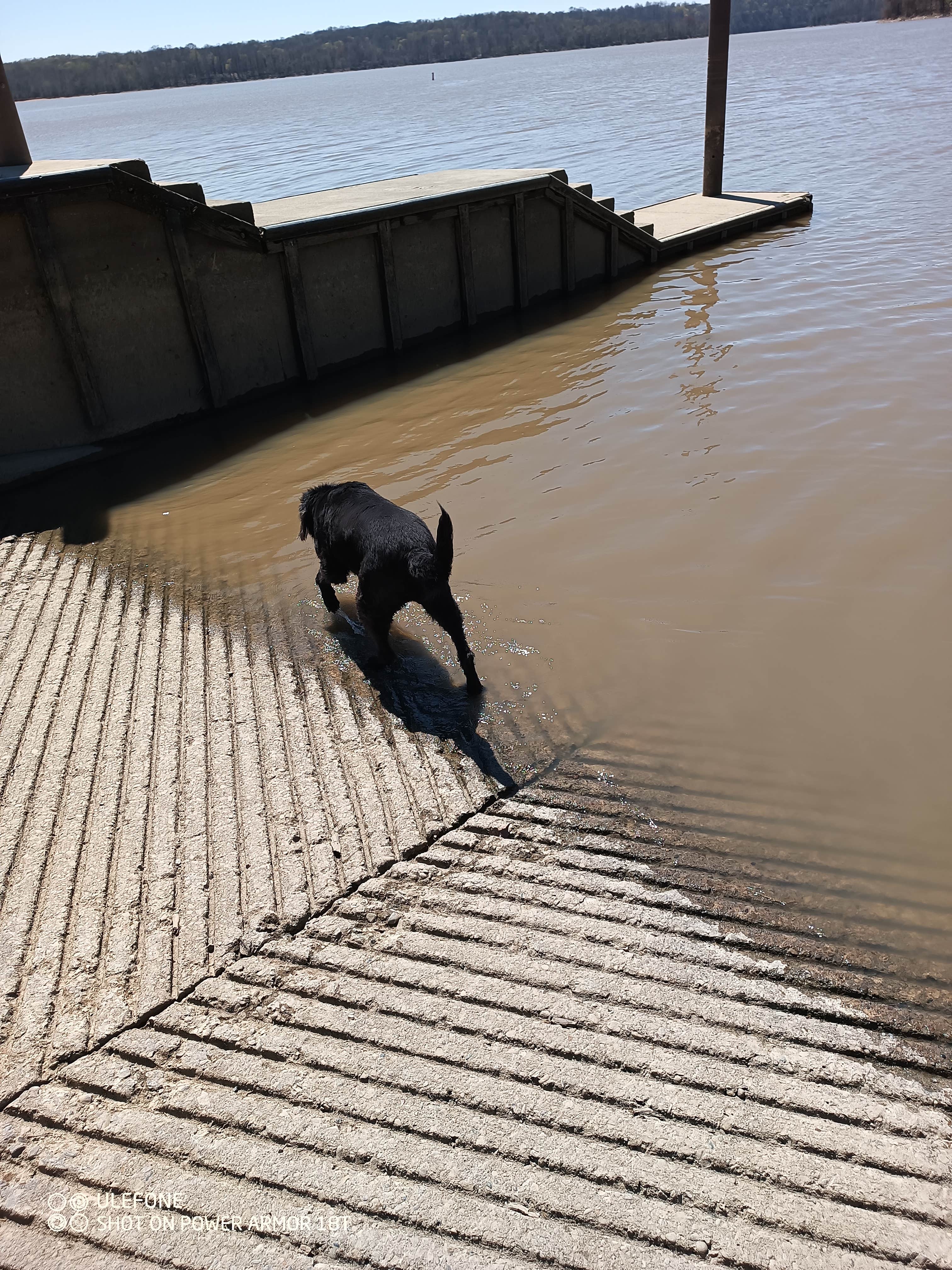 John B.'s photo of camping with pets at East Fork State Park Campground near Fairfield, OH