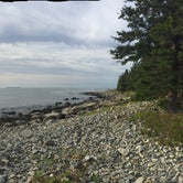 Review photo of Seawall Campground — Acadia National Park by Dawn K., October 4, 2018