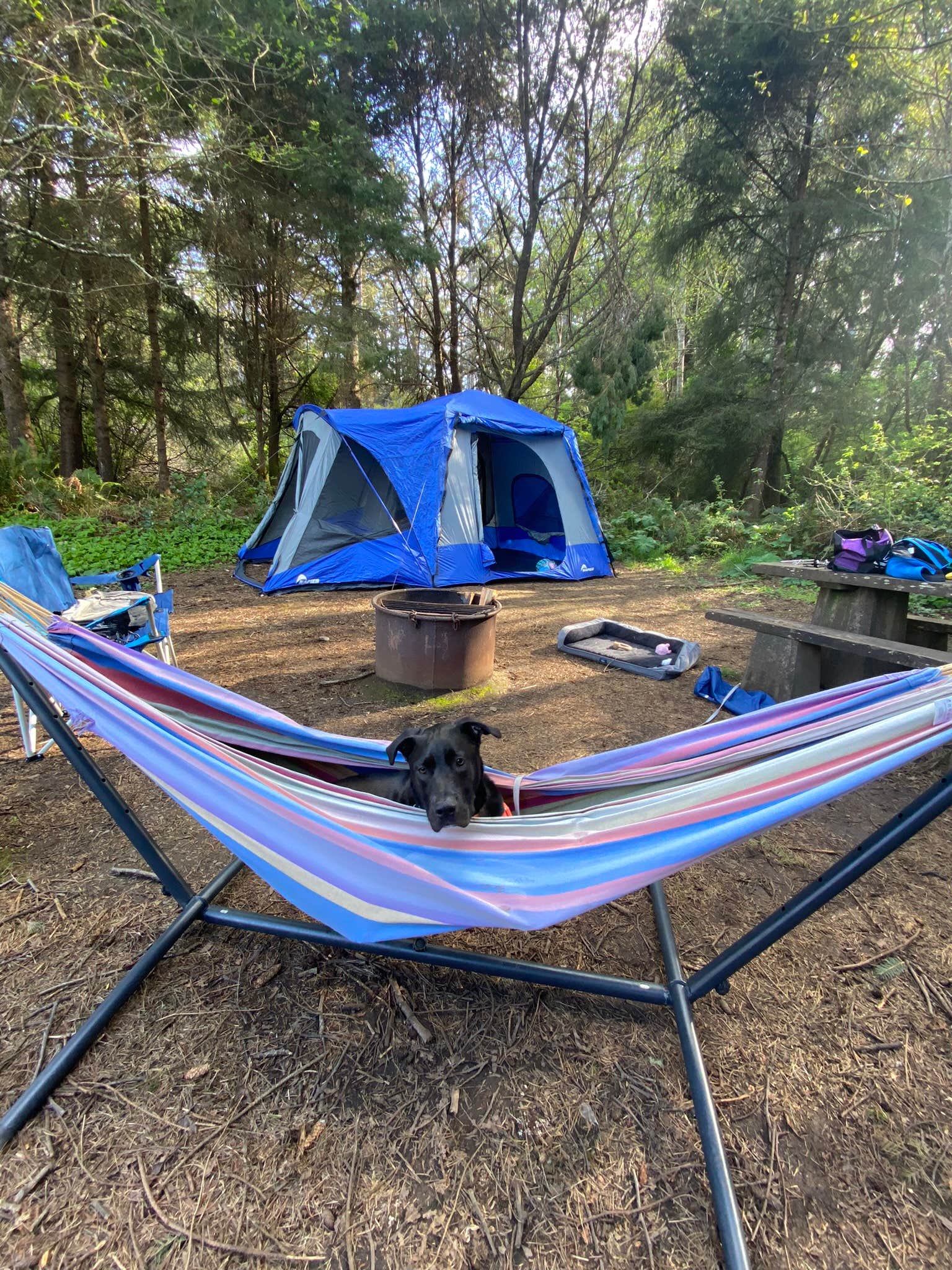 Ava E.'s photo at Agate Campground — Sue-meg State Park near McKinleyville, CA