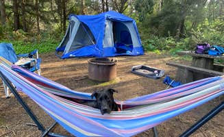Ava E.'s photo of camping with pets at Agate Campground — Sue-meg State Park near Redwood National Park