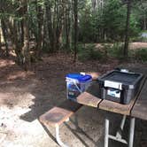 Review photo of Seawall Campground — Acadia National Park by Dawn K., October 4, 2018