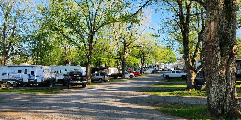 Camper submitted image from Owl's Roost Campground