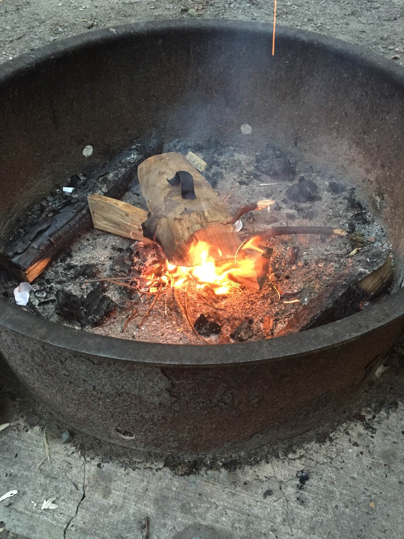 Dawn K.'s photo at Seawall Campground — Acadia National Park near Acadia National Park